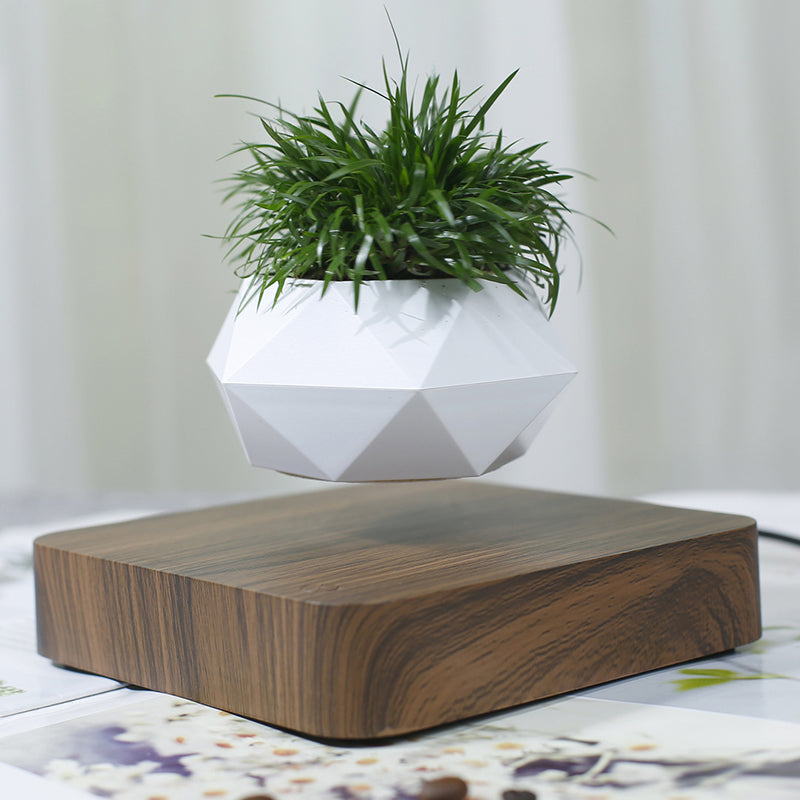 Pot de fleur flottant magnétique. Floating Geometric Magnetic Levitating Decor.
