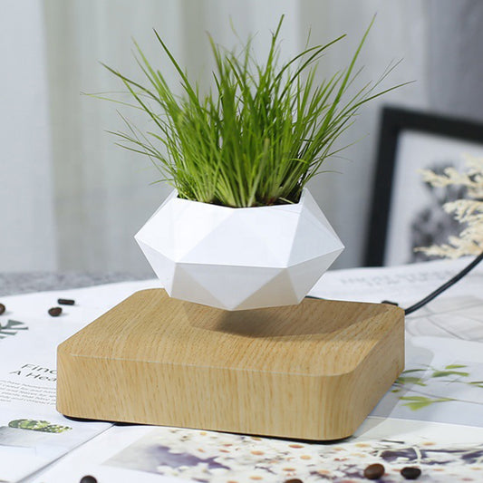 Pot de fleur flottant magnétique. Floating Geometric Magnetic Levitating Decor.
